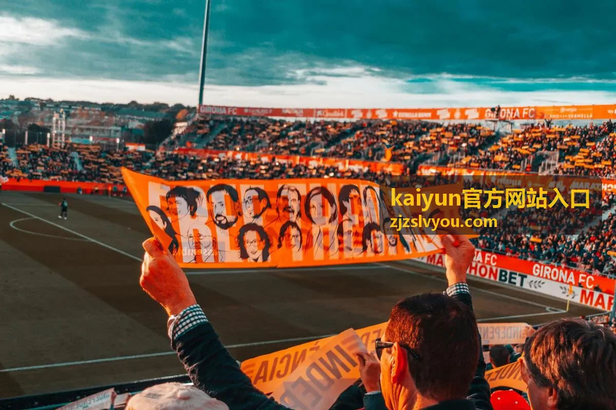 移动端访问与横屏观看演示画面